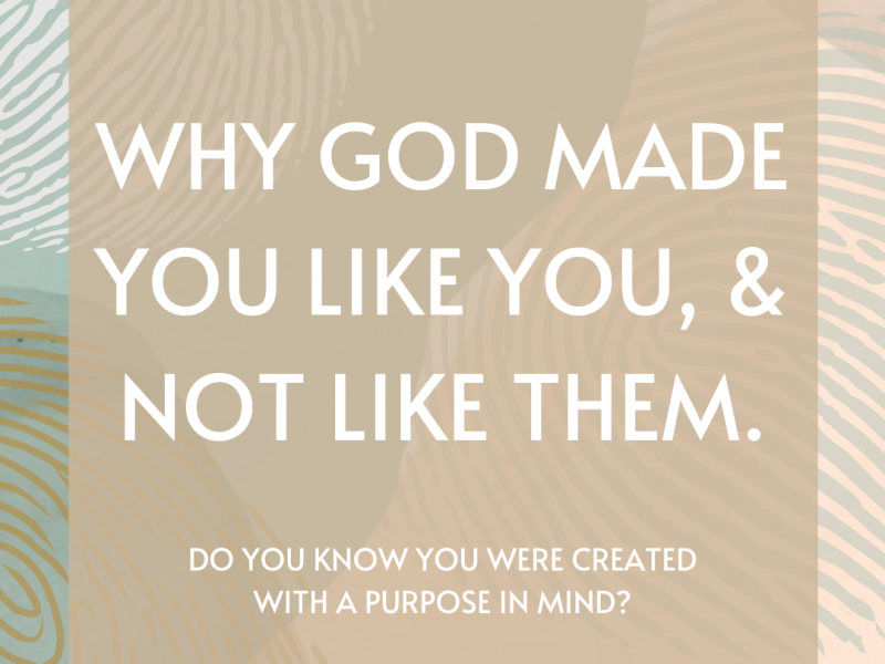 Why God Made You Like You, and Not Like&nbsp;Them.