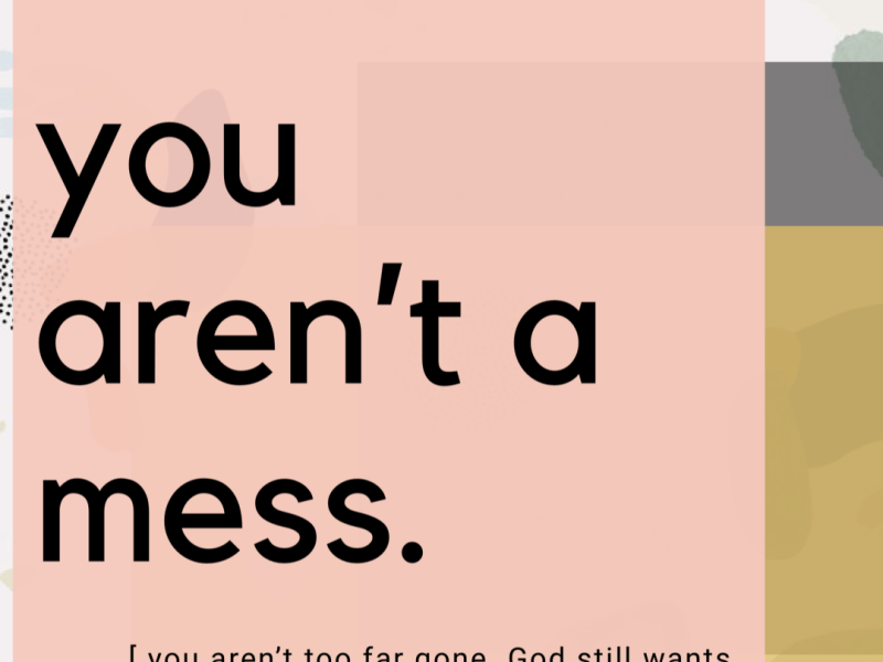 You Are Not a&nbsp;Mess.